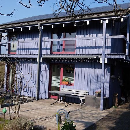Blaues Haus - Une maison bleue Hetzerath Eksteriør billede