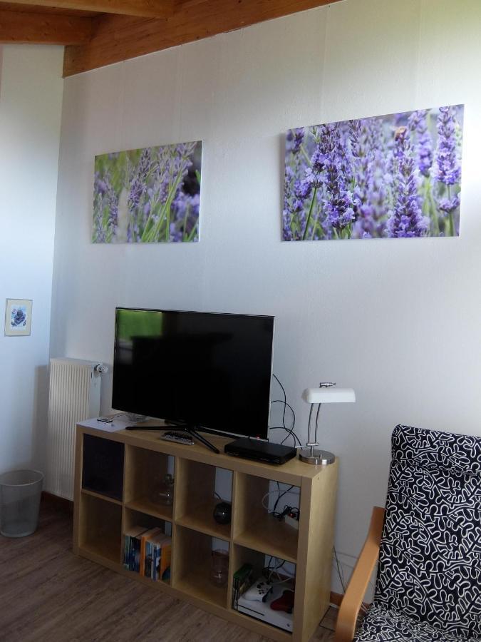 Blaues Haus - Une maison bleue Hetzerath Eksteriør billede