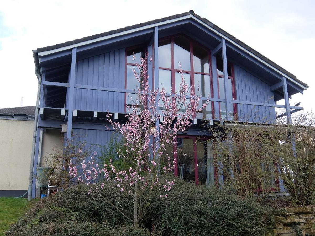 Blaues Haus - Une maison bleue Hetzerath Eksteriør billede