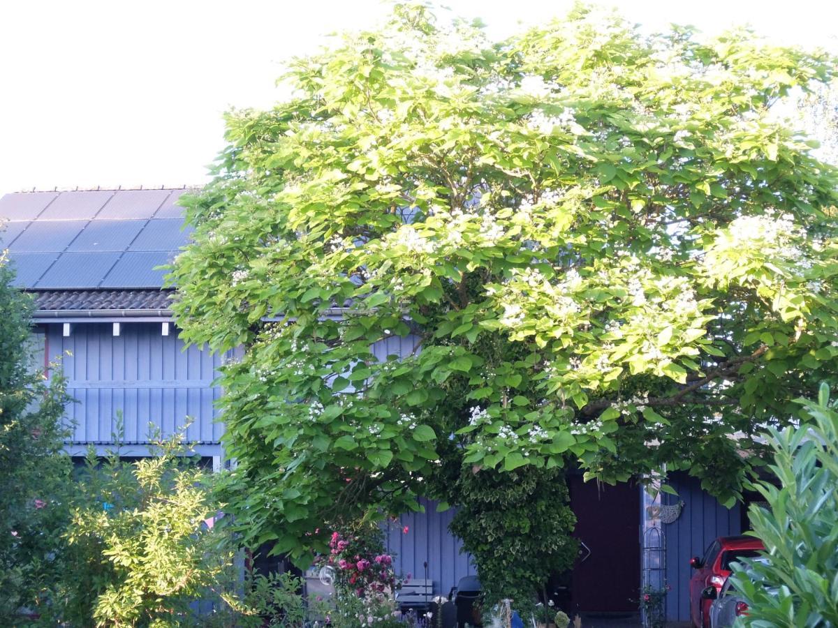 Blaues Haus - Une maison bleue Hetzerath Eksteriør billede
